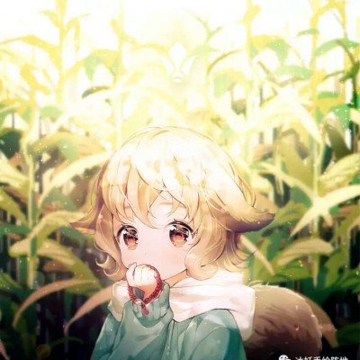 极氪发布会